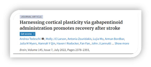 世界预防中风日 | 优发国际助力脑卒中研究