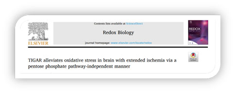 世界预防中风日 | 优发国际助力脑卒中研究