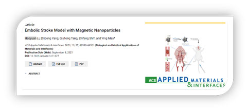 世界预防中风日 | 优发国际助力脑卒中研究