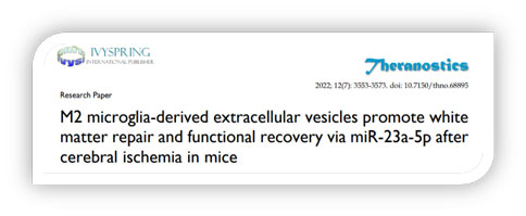 世界预防中风日 | 优发国际助力脑卒中研究