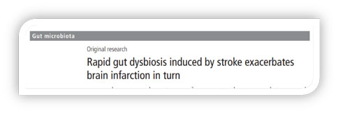 世界预防中风日 | 优发国际助力脑卒中研究