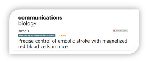 世界预防中风日 | 优发国际助力脑卒中研究