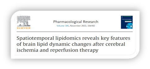 世界预防中风日 | 优发国际助力脑卒中研究