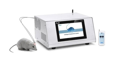 优发国际10月光遗传与光纤记录技术培训班圆满收官！