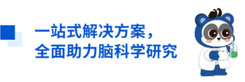 优发国际与您相约CNS2024，共享神经科学学术盛宴