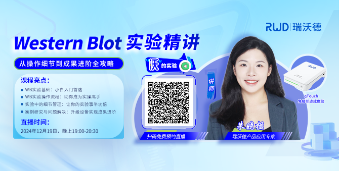 Western Blot实验精讲：从操作细节到成果进阶全攻略（内含干货资料）