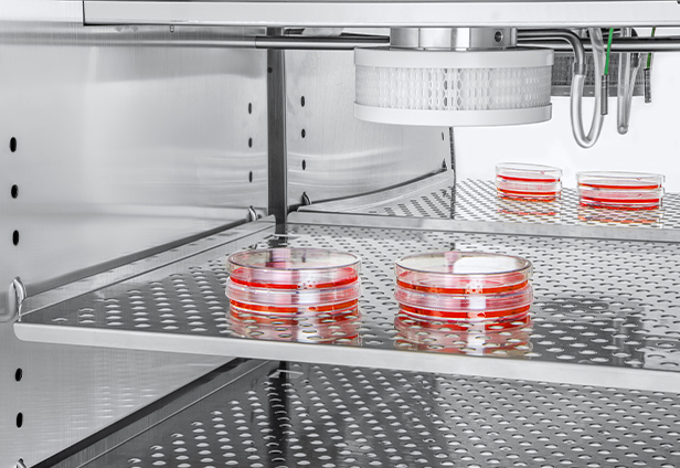 稳定的细胞培养环境